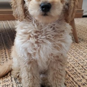 Meet your Posher, Stacey